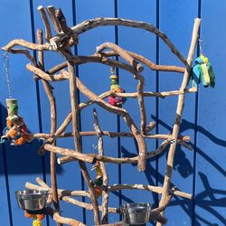 Tall n Artsy - Premium African Grey - Amazon Parrot Perch Tree!! A Great Socializer For Mr Feathers !
