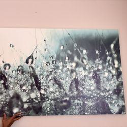 Large Abstract Canvas Water Droplets
