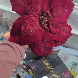 20  Noche buenas Flores