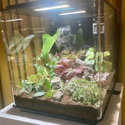 biOrb Earth Vivarium Terrarium Oase