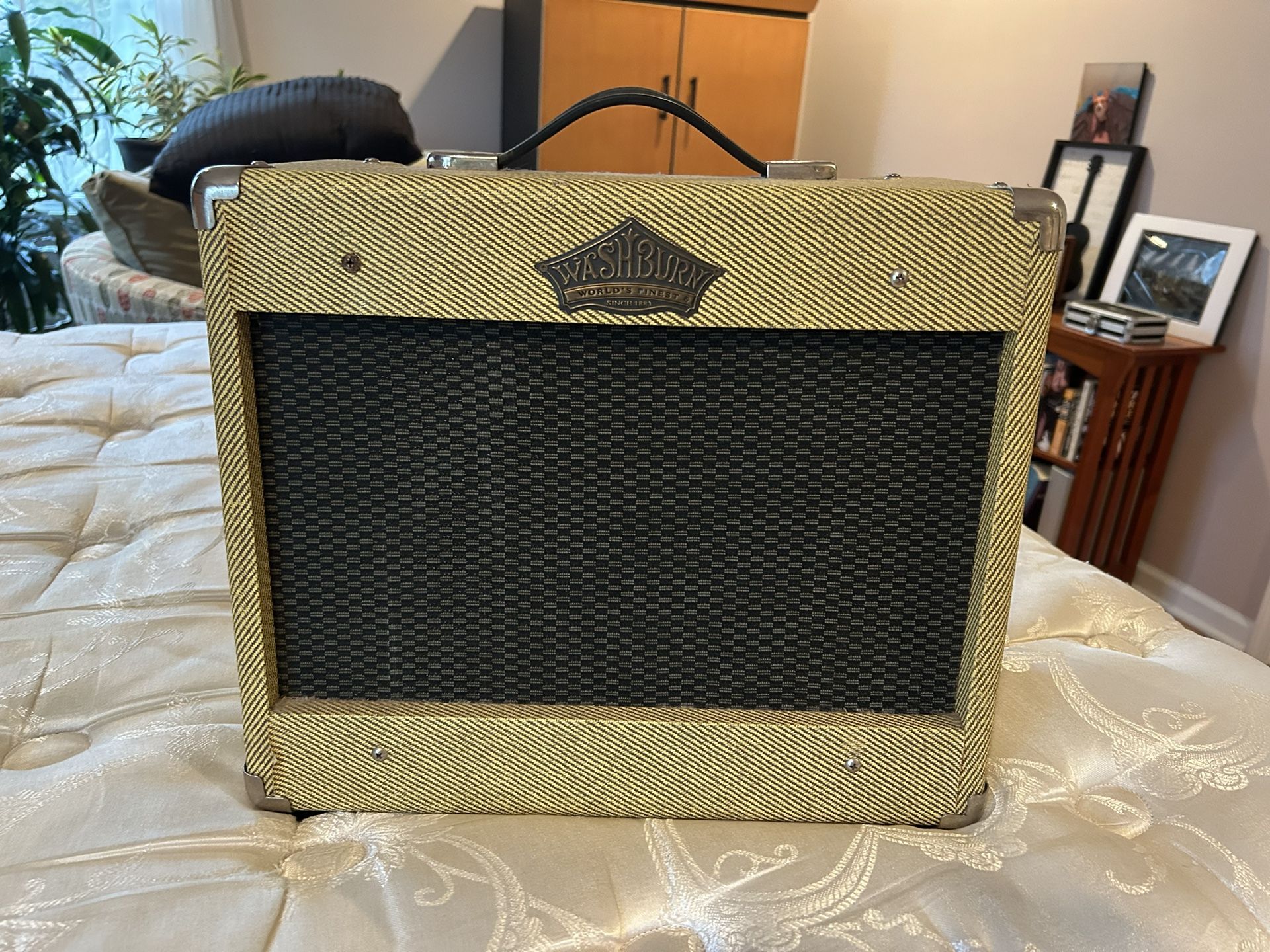 Washburn Bad Dog Guitar Amp