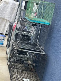 Pet Cages 