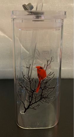 Clear Acrylic Tumbler with Cardinal Design