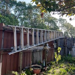 14 Feet Ladder. Escalera 