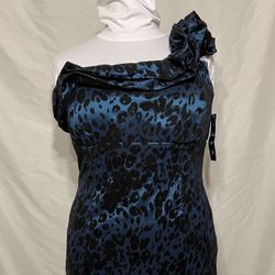 Snap Dress Women’s Size 2X