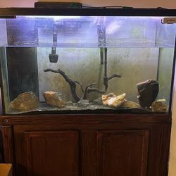 110 Gallon Fish Tank (pick Up Only)