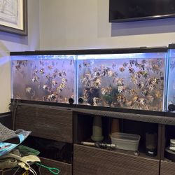 ( 4 )20 Gallon Tanks READ DESCRIPTION