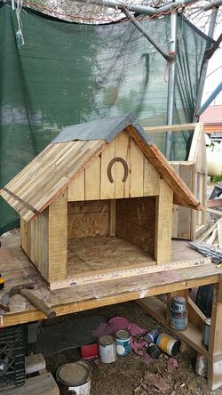 Dog house