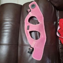 Small Doggie Harness