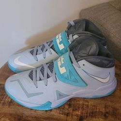 Nike LeBron Zoom Size 9.5