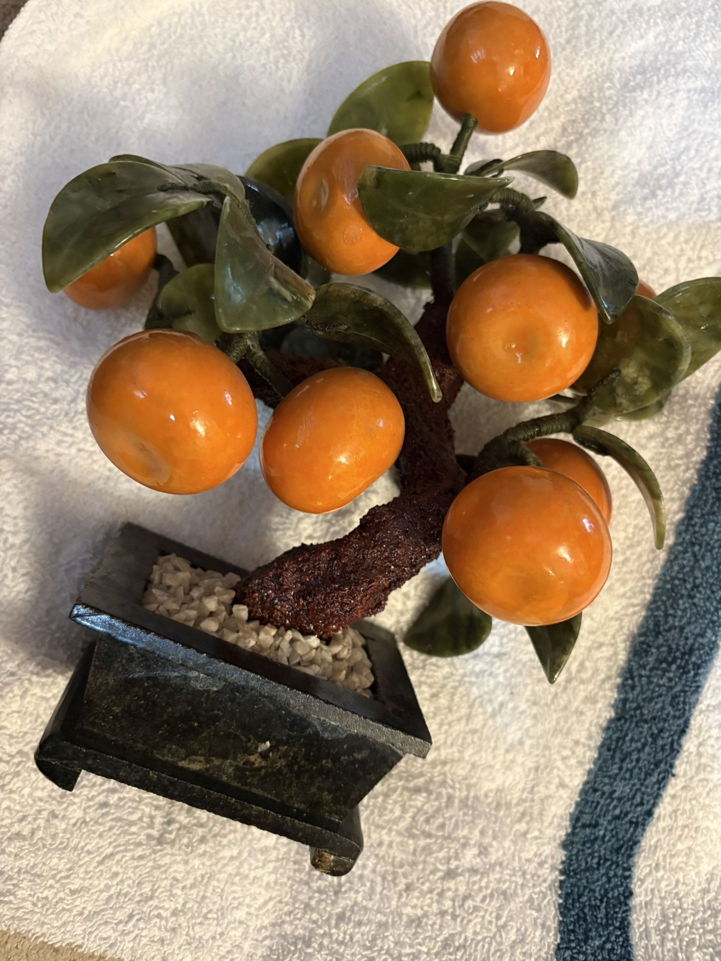 Chinese Jade Bonsai Tree