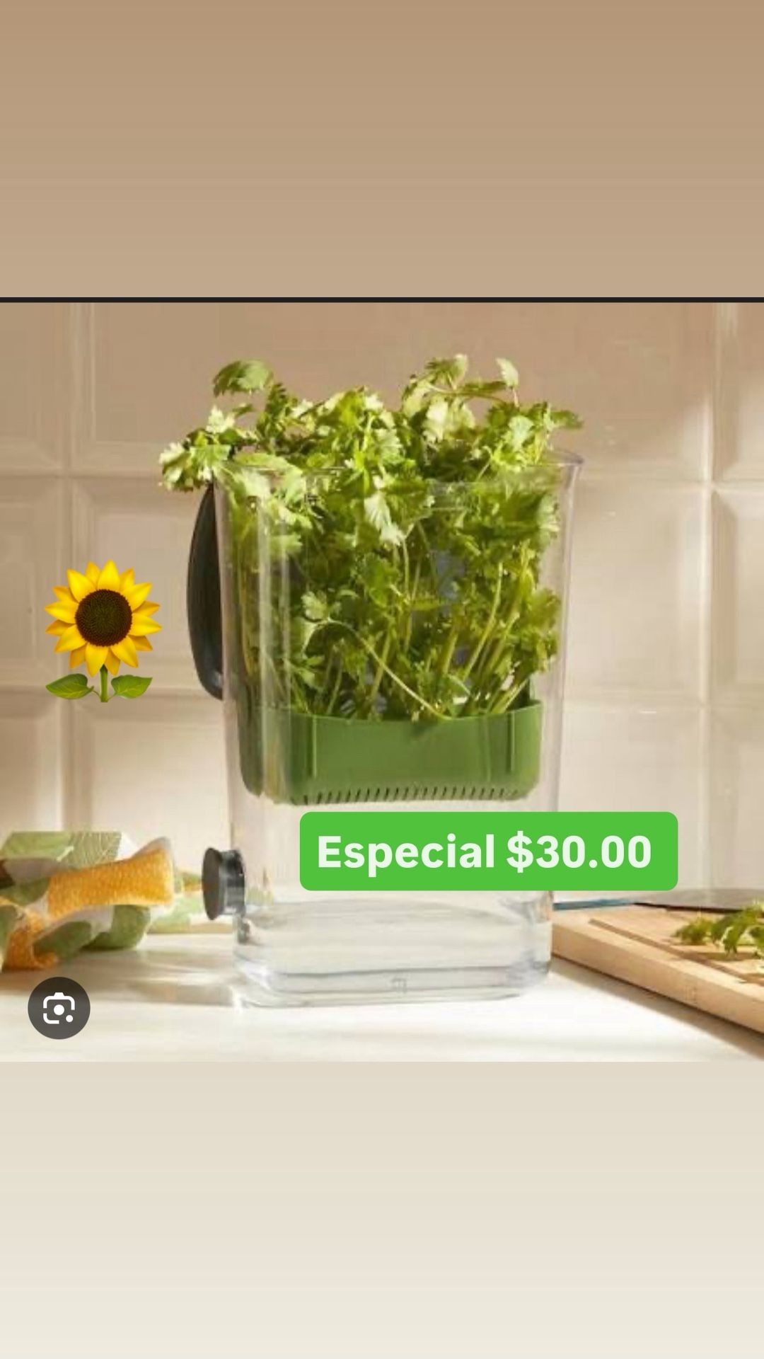 $30.00 Conteiner Para El Cilantro Lo Mantiene Fresco Limpio Princess House