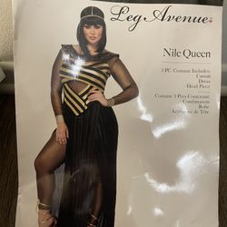 Halloween costume