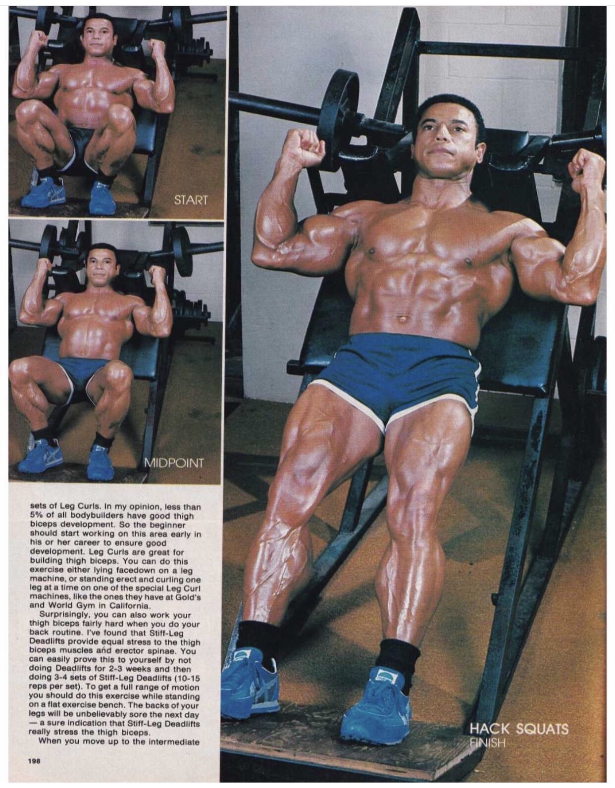 Vintage Hack Squat Old School Bodybuilding Machine Iron Muscle Weights Gym Fitness Workout Legs Leg Day