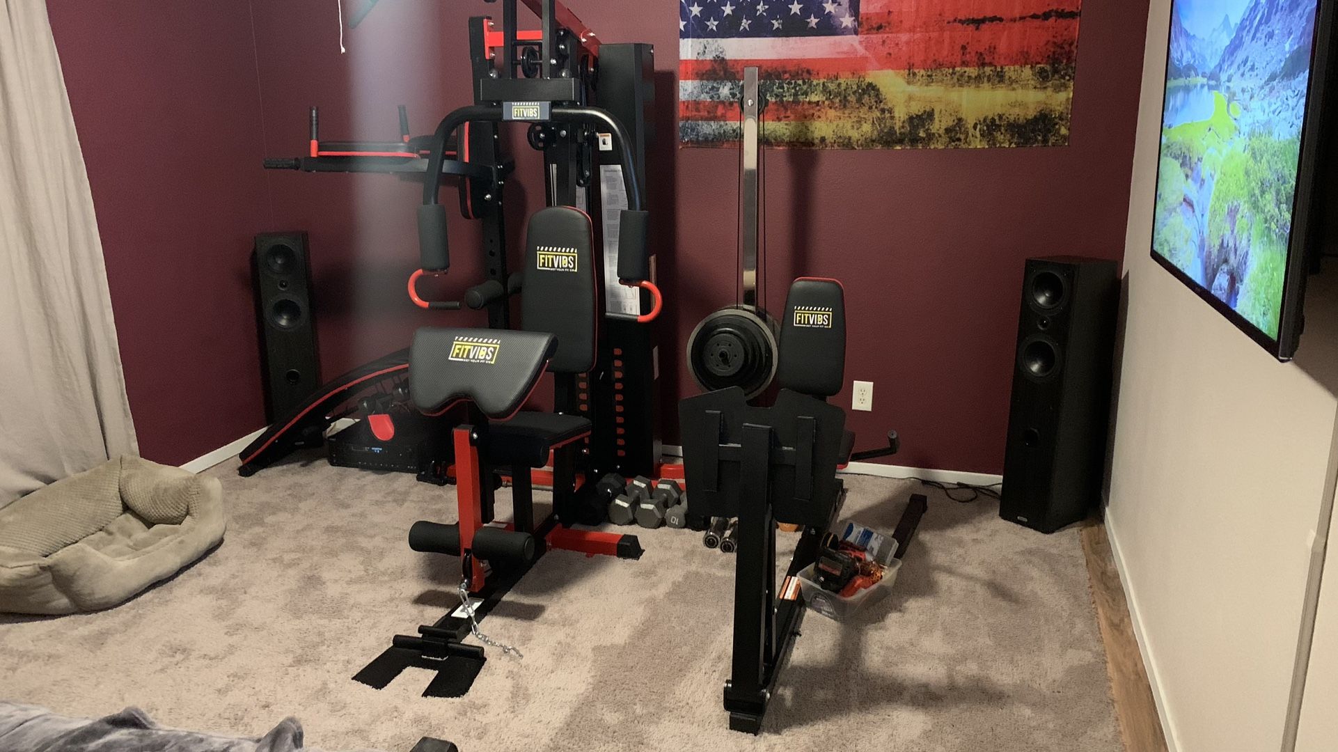 Fitvids LX950 All-in-One Gym