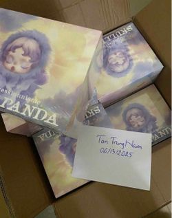 SKULLPANDA IMPRESSIONISM