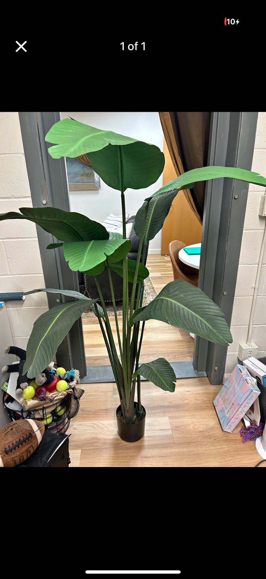 Faux Banana Leaf Plant 5ft