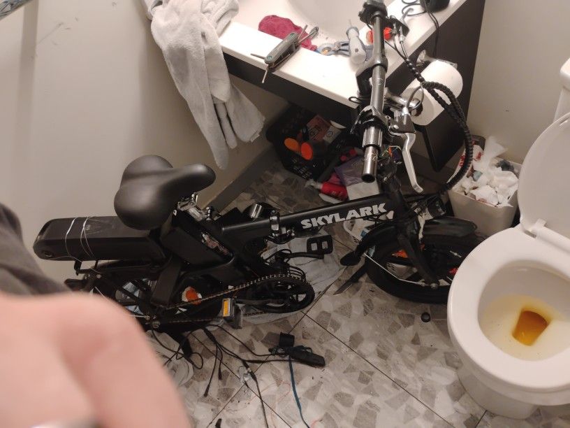 Folding Skylark 54 V Bicycle 