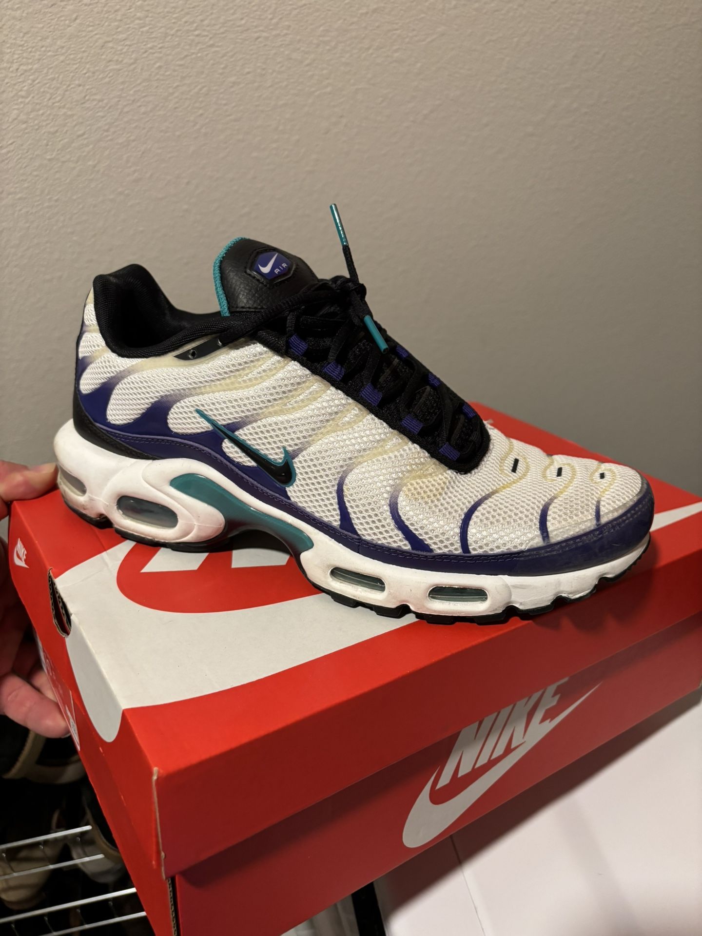 Nike air max plus size 10