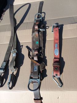 Bashlin Climbing Belt  Tree,Pole,Strap,Tool,Belt