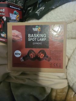 Basking Spot Lamp 2 Pack