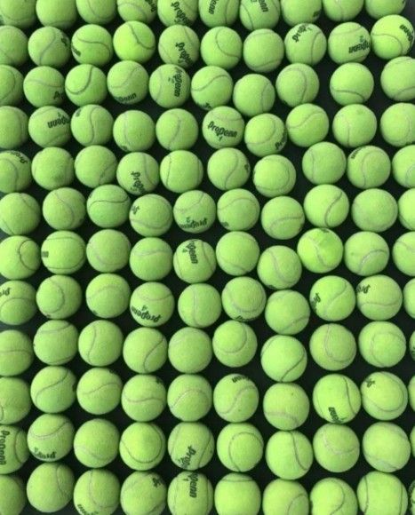 Tennis Balls 110 Used for $22 Dog Toys Kids Baseball Kids Tennis