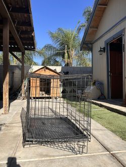 Dog Cage