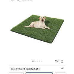 Pet Grass