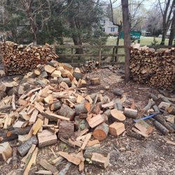 Firewood 