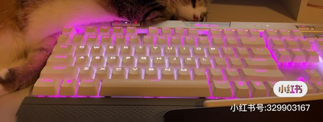 Cosair Key Board 20$