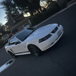 Ford Mustange 2004 V6 