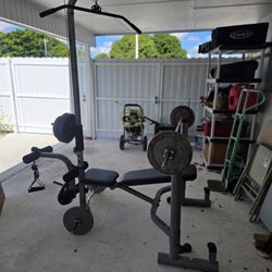 Gym Weights System, Work Out, Home Gym