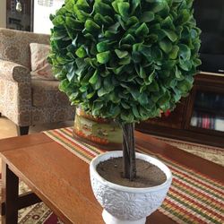 24 Inch Topiary 