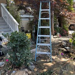 Werner 7 Foot Tall Ladder 