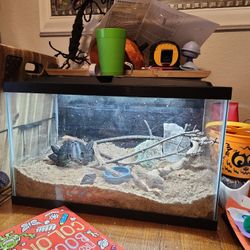 10 Gallon Aquarium Brand New