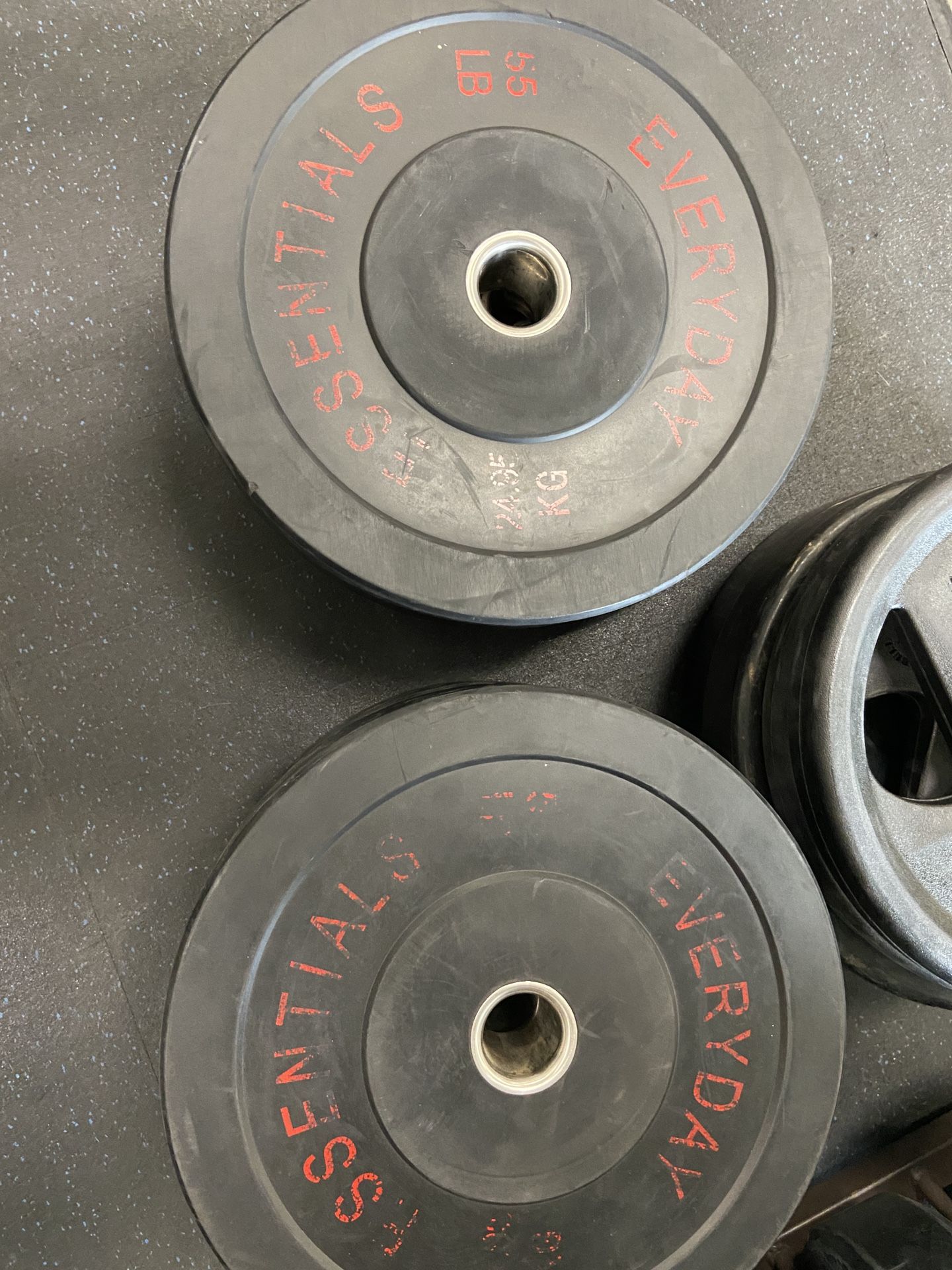 Everyday Fitness 55lb Bumper Plate Pair