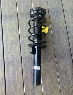 Strut and Spring Assembly