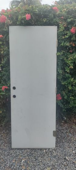 Exterior metal door smooth finish one very small niche see last photo approximately 30x79