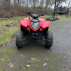 2006 Polaris Phoenix 200