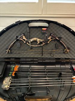 Hoyt Selena Bow LH 50-60lb