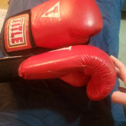 Title Boxing Gloves