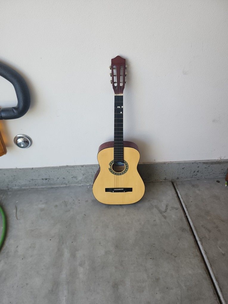 Guitar