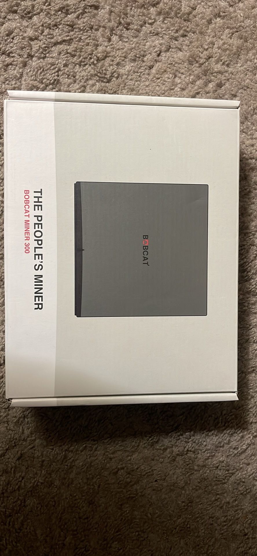 Bobcat Crypto Miner 300