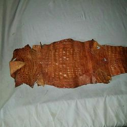 Alligator skin
