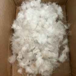 Bunny Fur