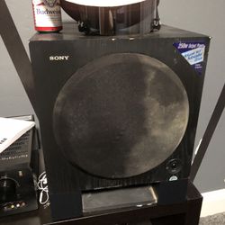 Dual 10 Inch Sony Subs