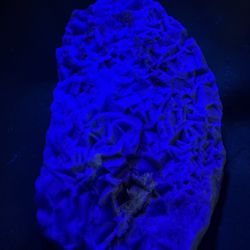 Botryoidal Green Fluorite/Amethyst – Fluorescent UV! Colorado