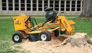 Stump Grinding