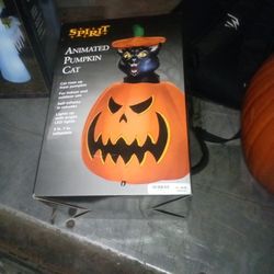 Halloween Decorations N Coustumes