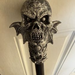 Halloween Costume Came